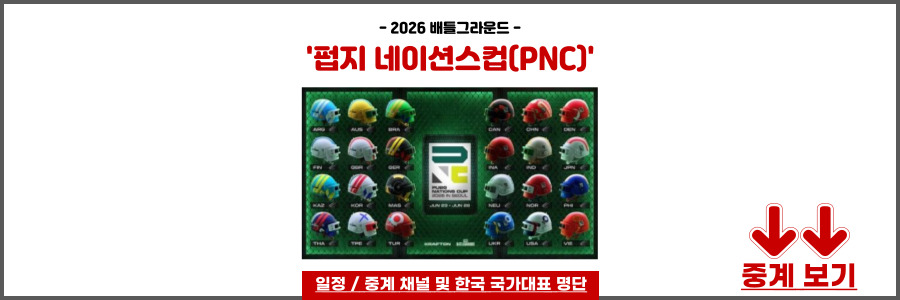 배틀그라운드 펍지 네이션스컵