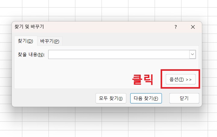 찾기 및 바꾸기 창에 옵션 버튼 보임