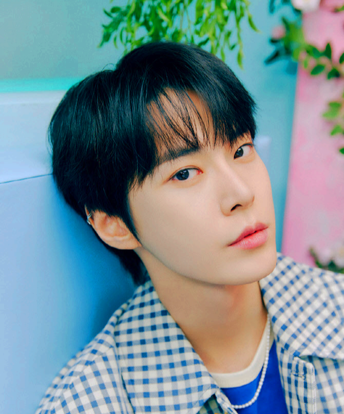 도영