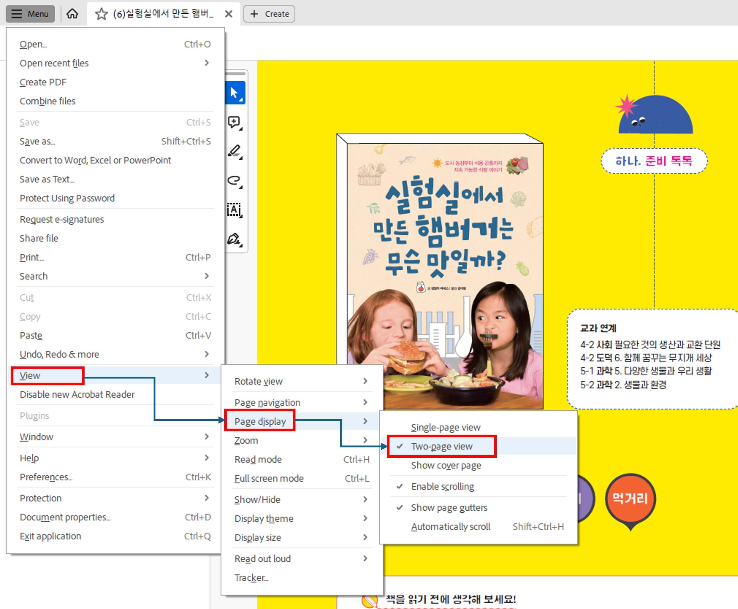 Adobe reader 전체 화면 두 페이지 보기 tip