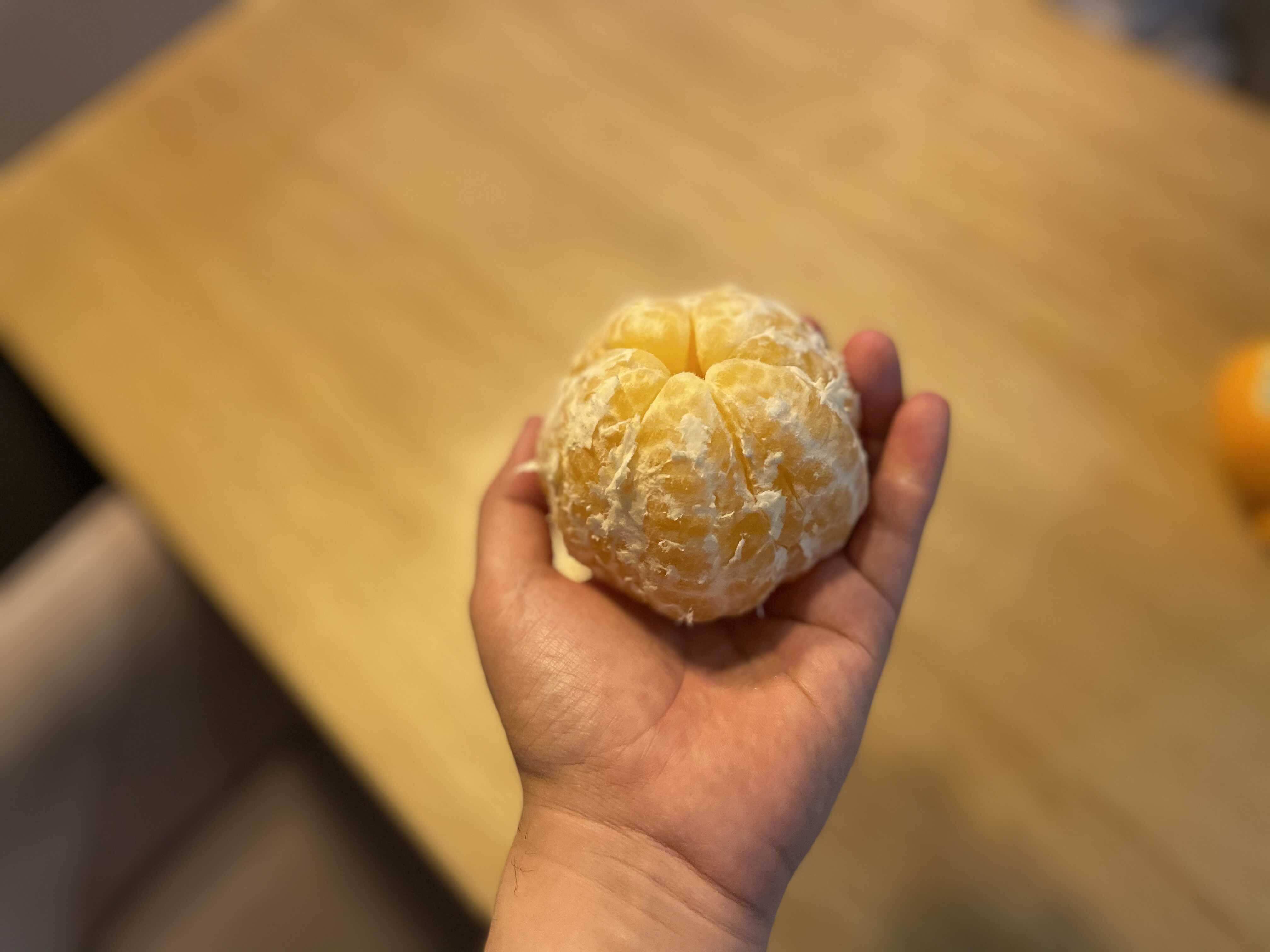 한라봉시었음