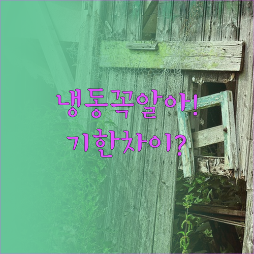 냉동식품 유통기한과 소비기한 차이점..