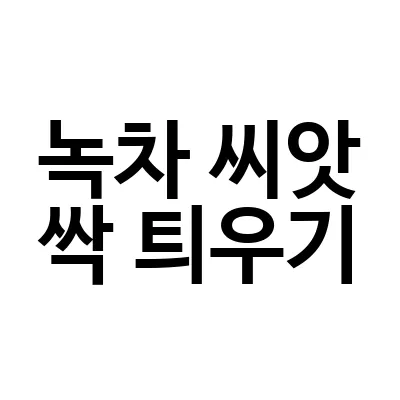 녹차 씨앗 싹 틔우기