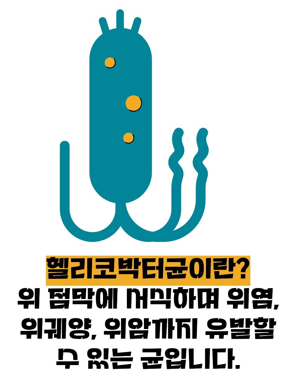 헬리코박터균란?
