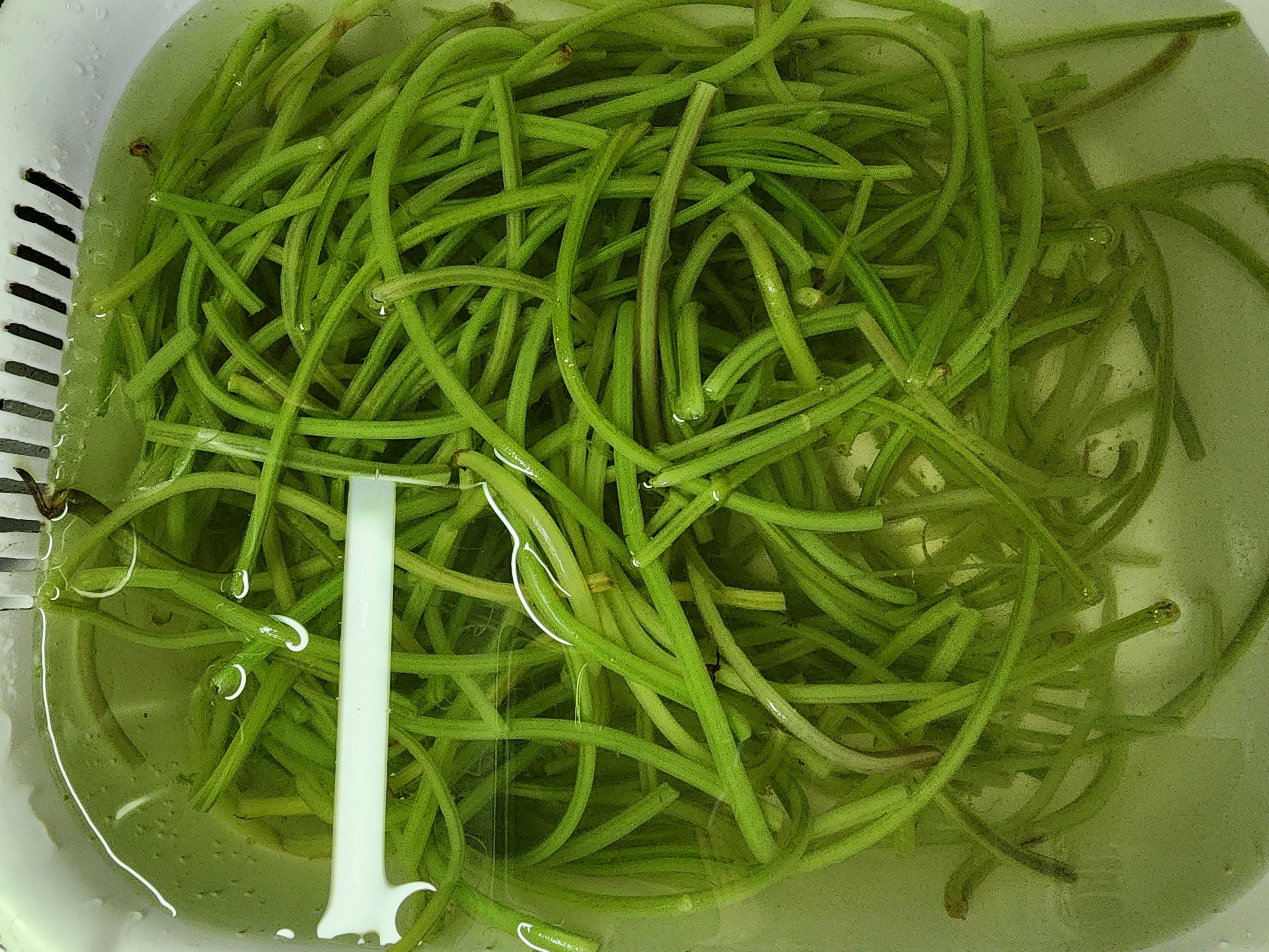 고구마순 볶음, 부드럽게 볶는법 고구마순 손질법