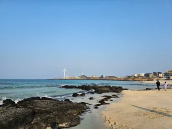 제주 월정리 카페 추천 감성 인테리어와 베이커리 소개_8