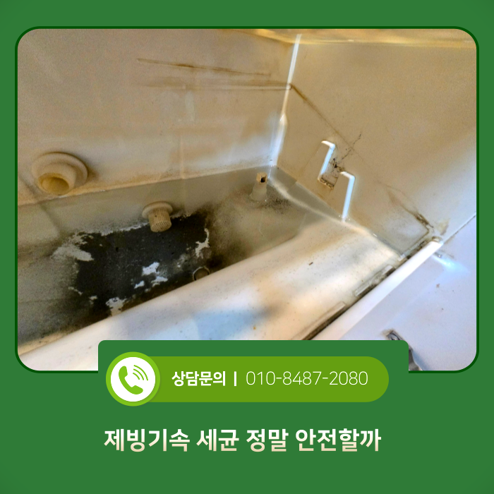 제빙기 내부 오염