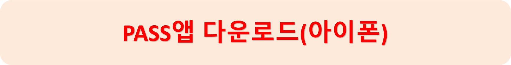 패스아이폰