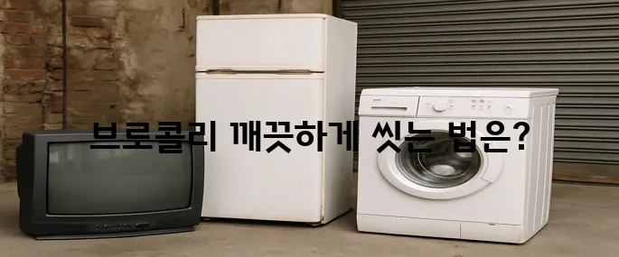 브로콜리 씻는 방법의 모든것