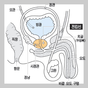 겨울철 소변 빈도 증가와 전립선 문제 관련 이미지