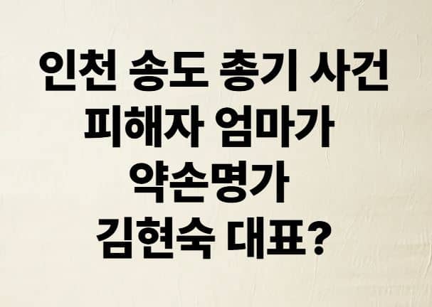 인천 송도 총기 사건 피해자 엄마가 약손명가 김현숙 대표?