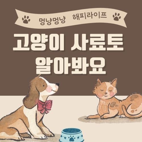 고양이 사료토 알아봐요 썸네일