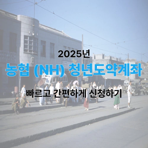 농협 청년도약계좌 신청방법