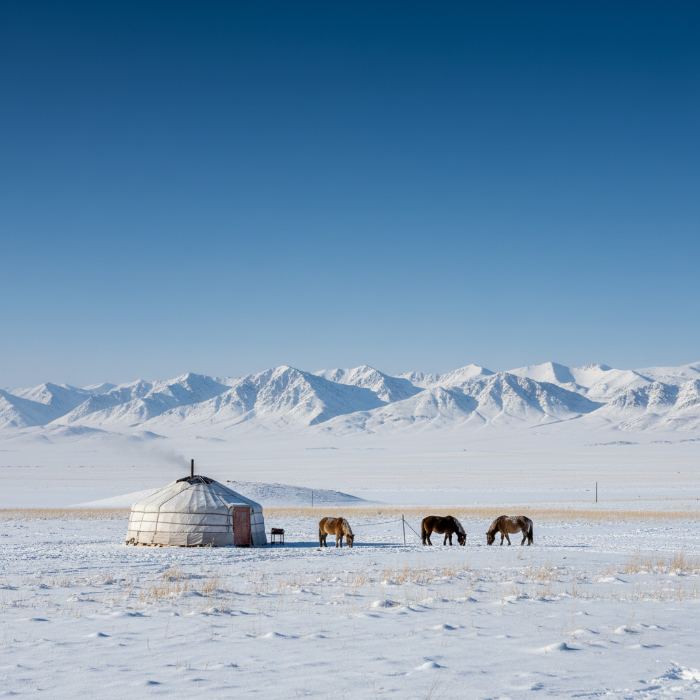 몽골 테를지 국립공원의 광활한 설원과 설산 파노라마. 눈 덮인 초원에 전통 게르가 놓여 있고, 겨울의 고요하고 웅장한 자연 경관이 펼쳐져 있음.