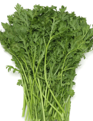 쑥갓 쑥 차이점 효능 먹는 법