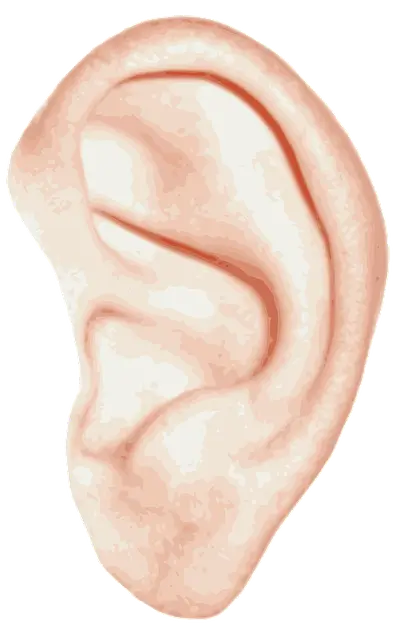 귓볼 주름 프랭크 징후