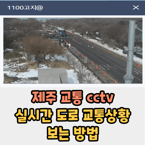 제주 교통 cctv 도로 교통상황 실시간 확인 방법