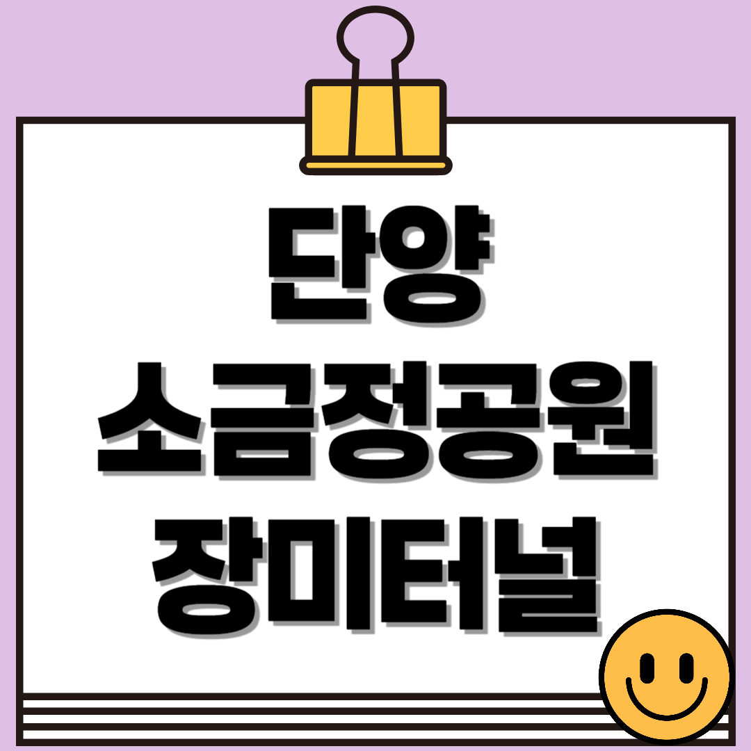 단양 장미터널 완전 정복! 강변 따라 걷는 1.2km의 장미향 산책로