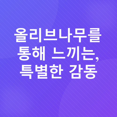 올리브나무_3