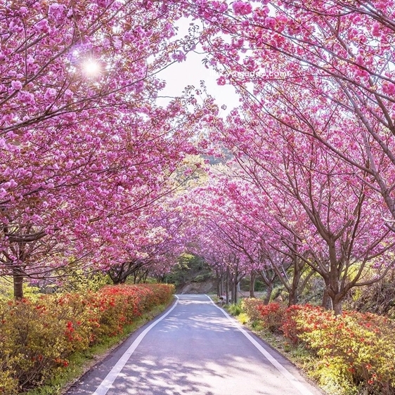 서산 가볼만한곳 베스트10