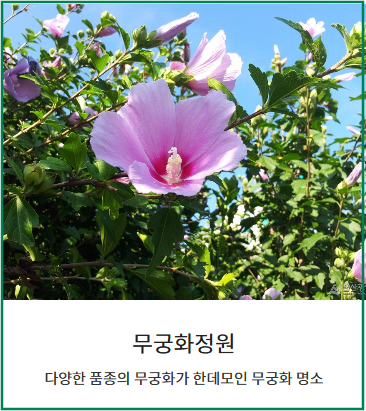 태화강 국가정원 봄꽃축제-무궁화정원