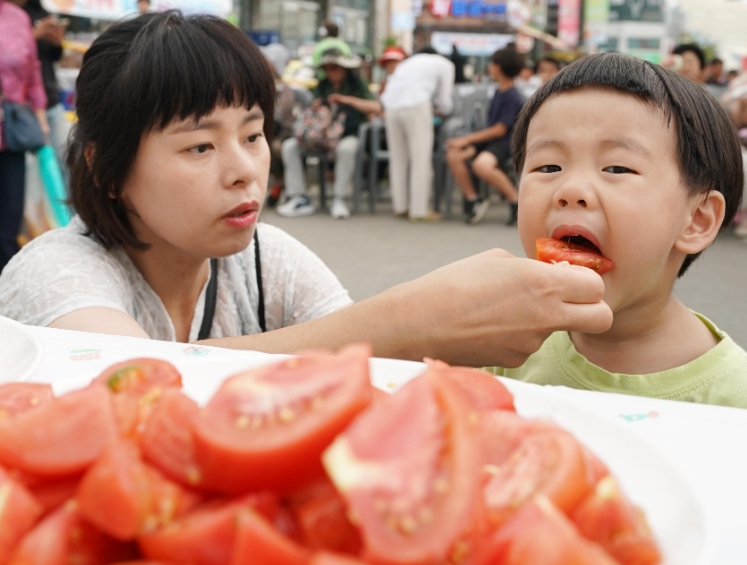 퇴촌 토마토 축제 2026