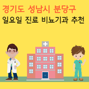경기도 성남시 분당구 일요일 진료 비뇨기과 추천