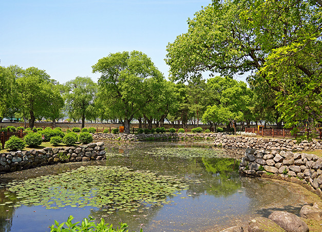 경주 오릉 이팝나무 - 이용요금, 이용시간, 주차정보