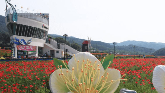축제 가볼만한 곳
