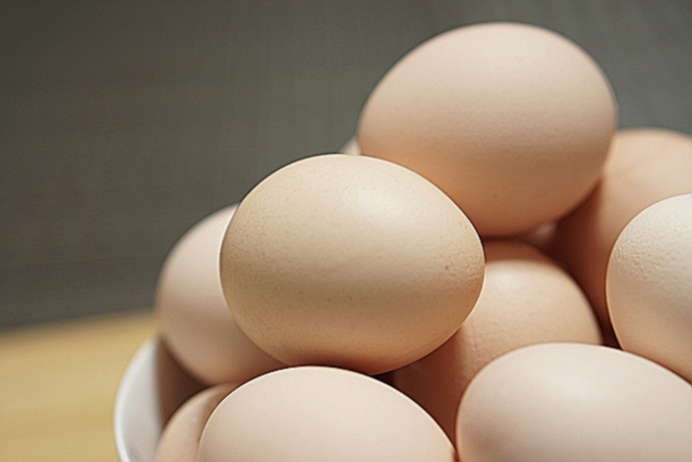 난유 효능 부작용