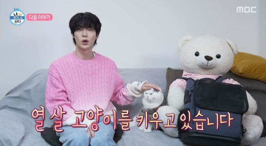 안재현 나혼산 고양이 반려묘 안주 일상 근황