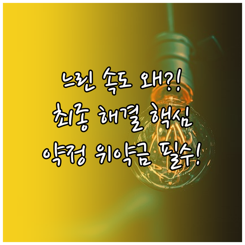 네트워크 속도 저하 최종 해결책 자가..