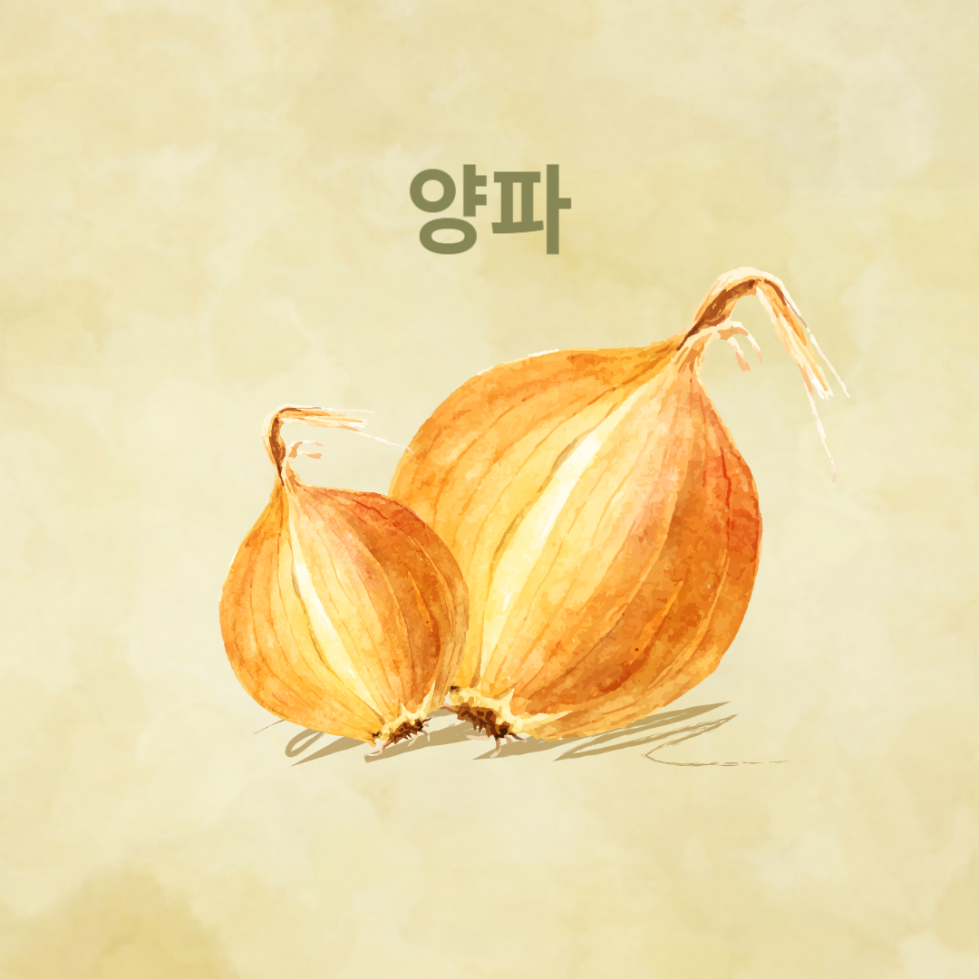 콜레스테롤 개선에 좋은 음식 : 양파