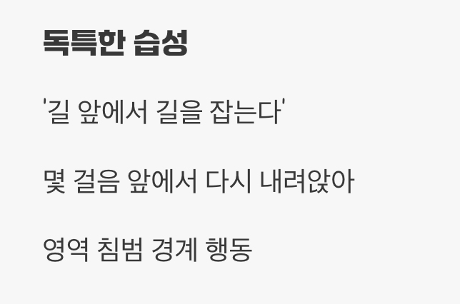 곤충 세계의 치타&amp;#44; 압도적인 스피드