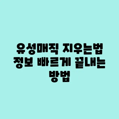 유성매직 지우는법 정보 빠르게 끝내는 방법
