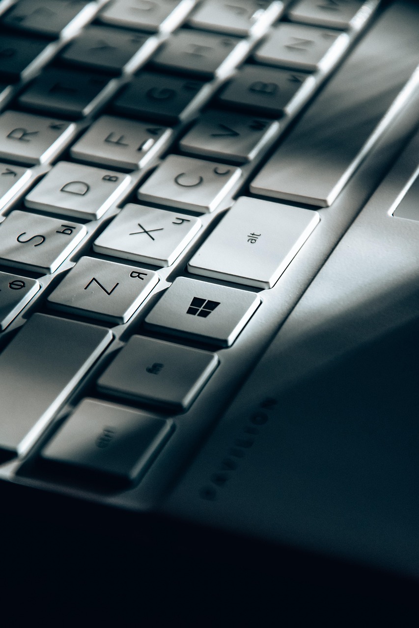 보험가입내역 일괄조회 서비스