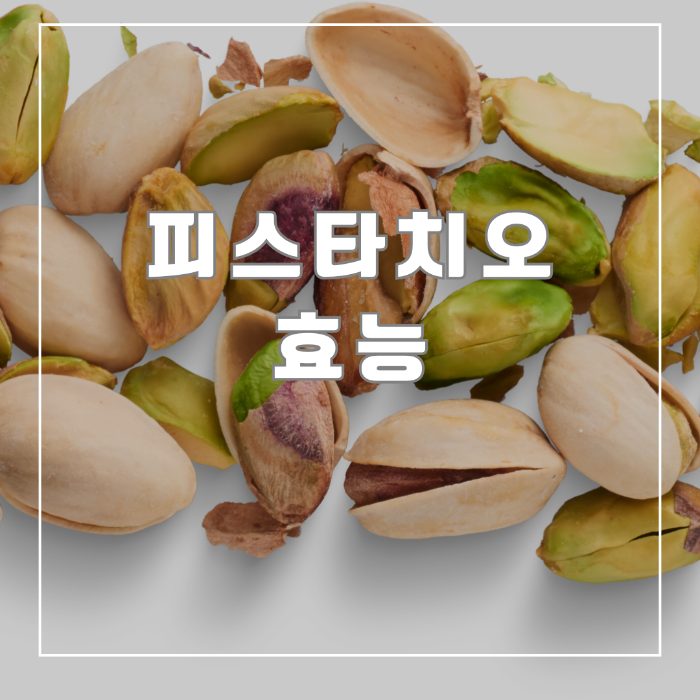 피스타치오의 효능