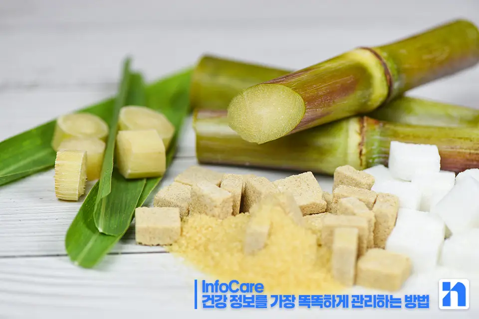 폴리코사놀 효능