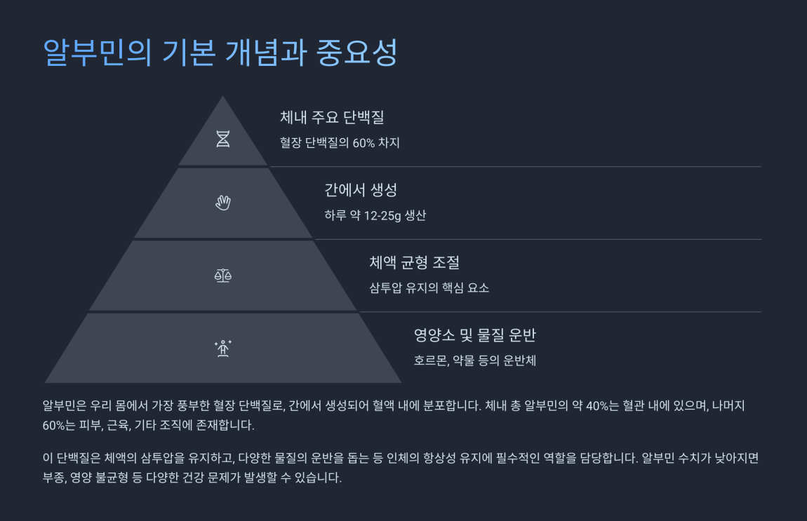 마시는 알부민 효능 2