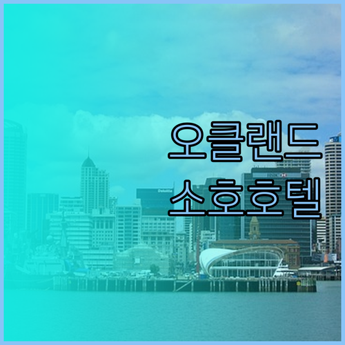 소호 호텔 오클랜드 완벽 분석 202