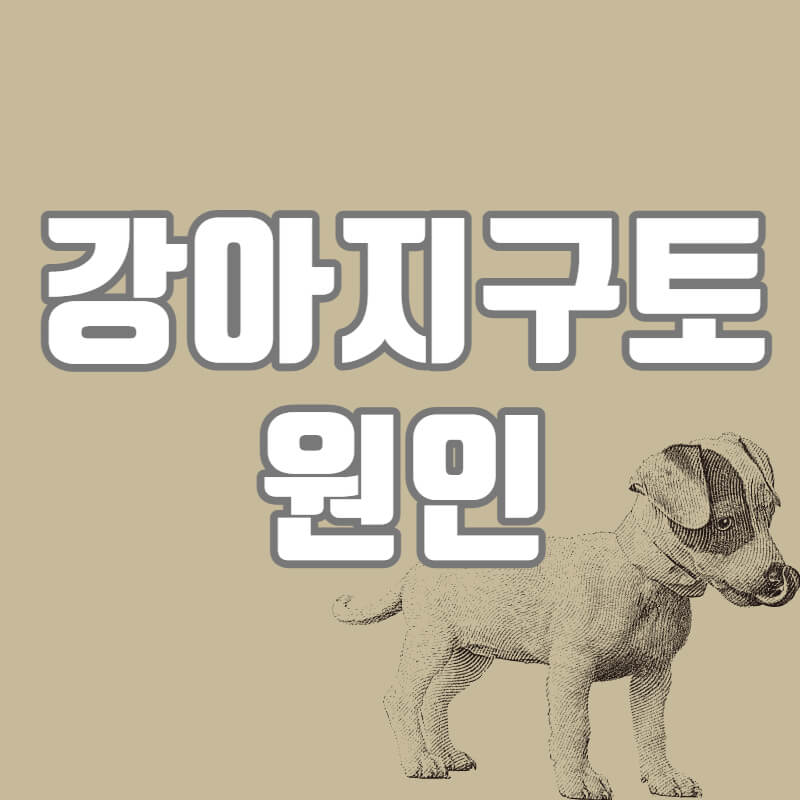 강아지구토원인