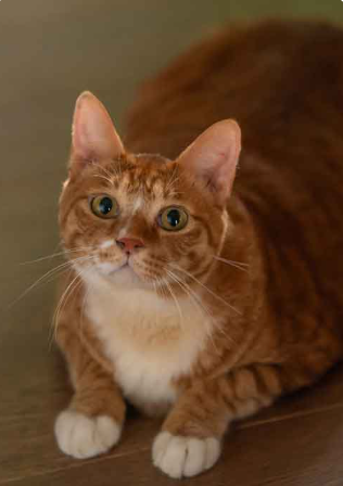 영화 좀비딸 상영관 예매하기 