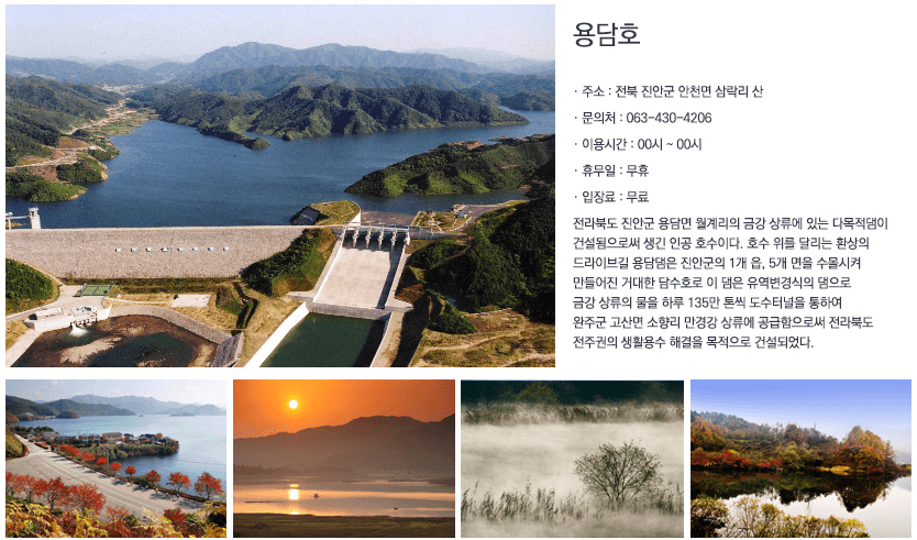 진안 꽃 잔디