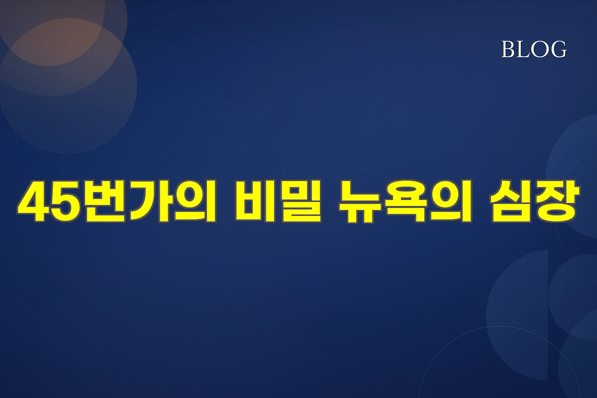 45번가의 비밀 뉴욕의 심장