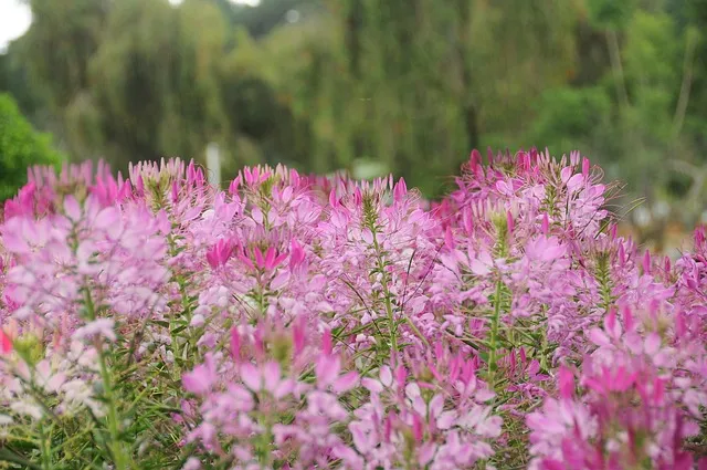 위도 배시간표 예약방법 배 요금_9