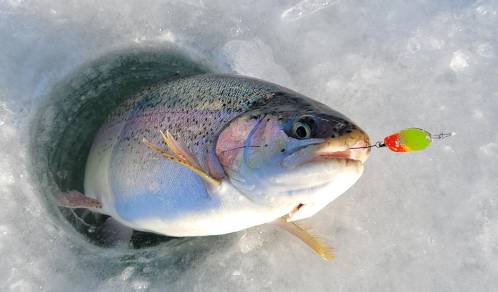 홍천강 꽁꽁축제 얼음낚시