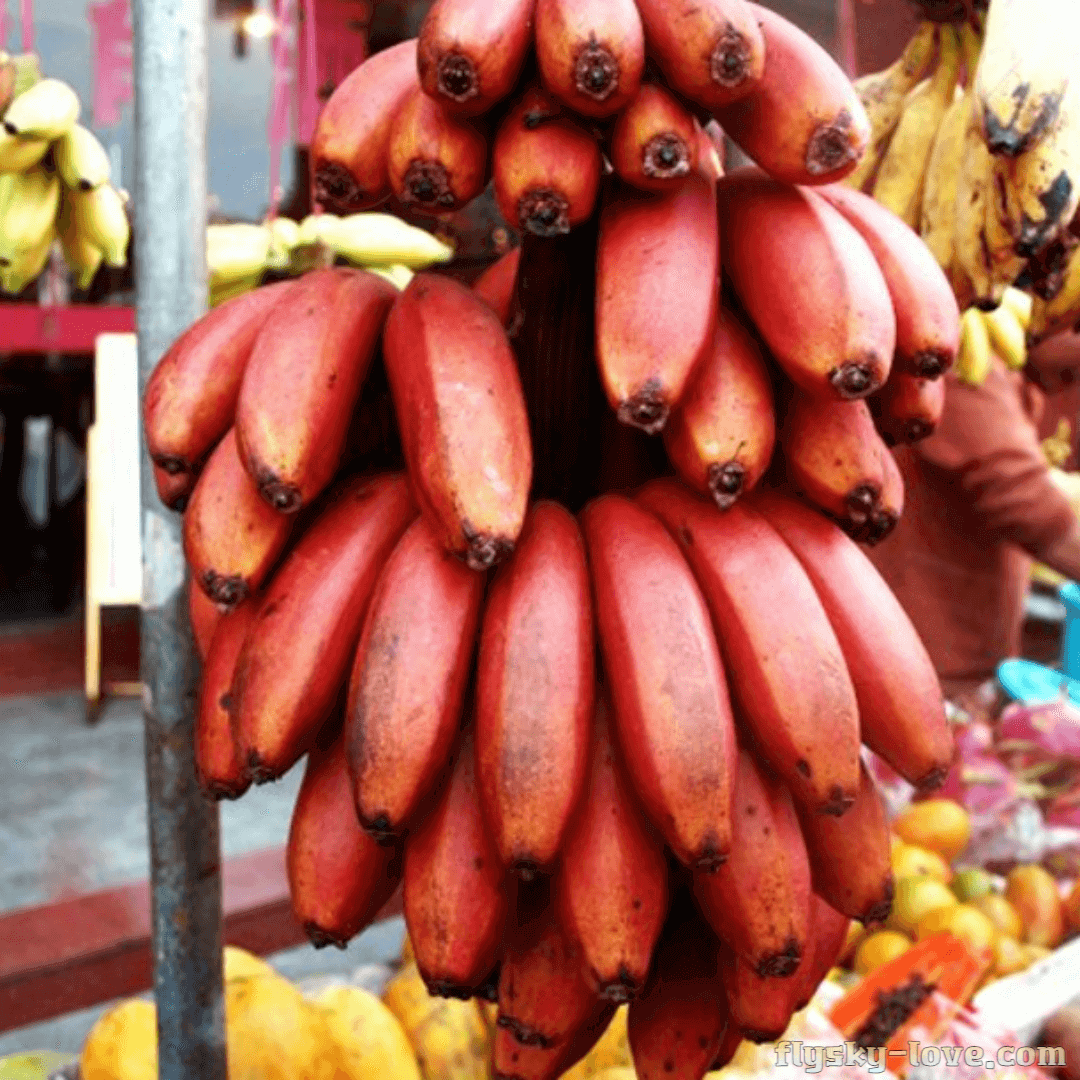 진한 향미 레드바나나