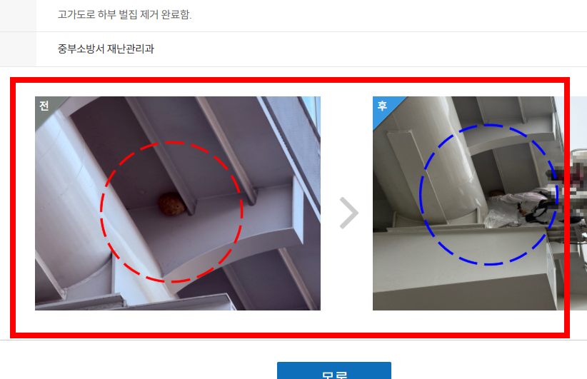 장애인 주차구역 위반 신고 방법, 포상금