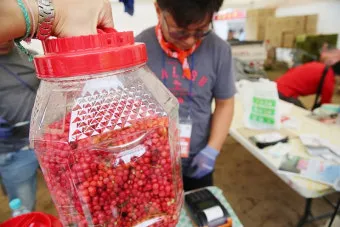 문경 오미자축제 2025 다섯 가지 맛으로 만나는 가을 정리_11