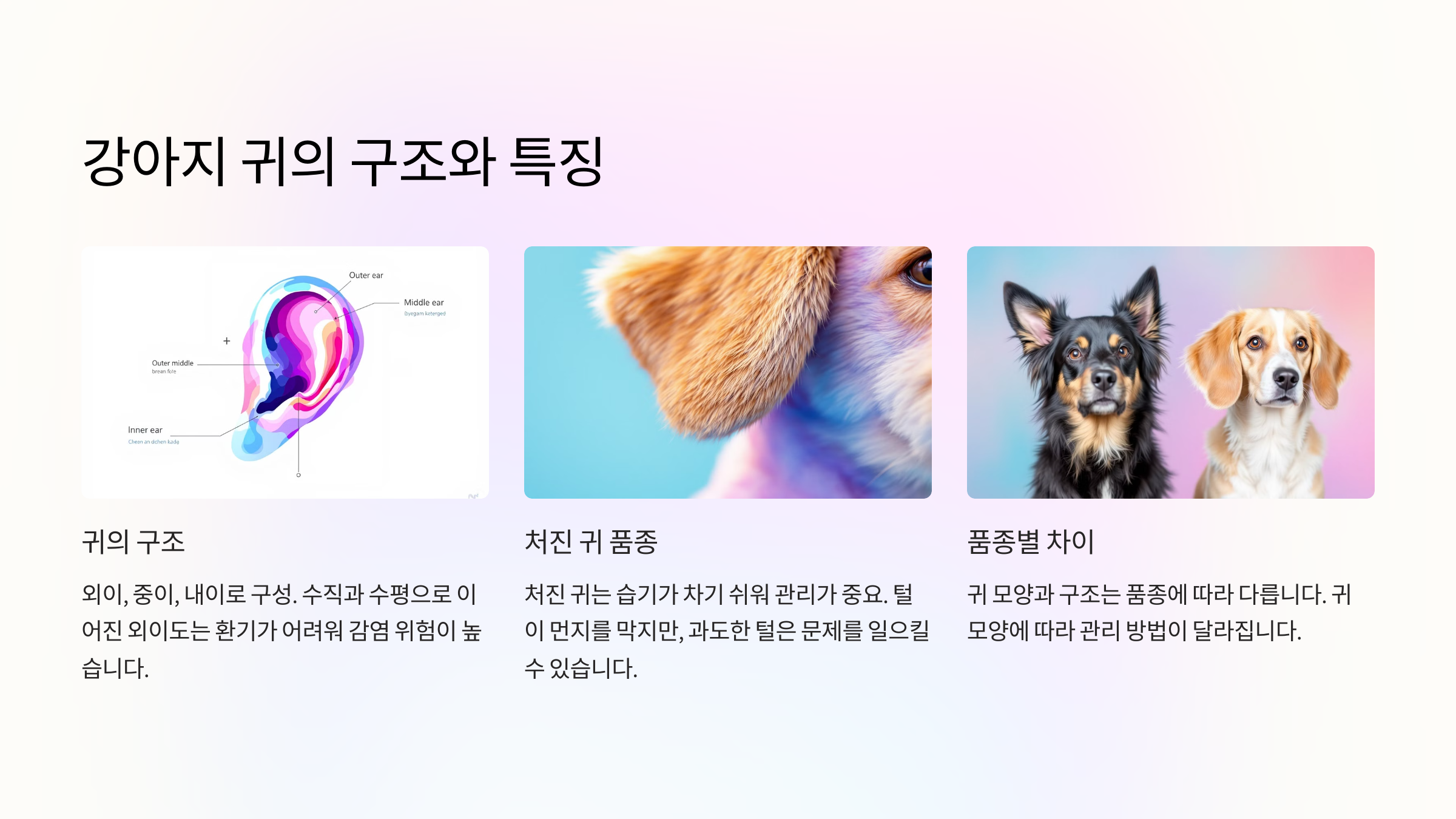 강아지 귀의 구조와 특징